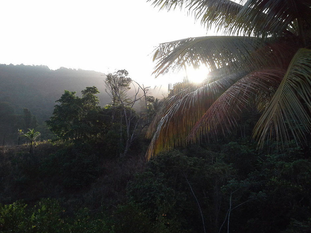 Las Cuevas Beach Lodge Екстериор снимка